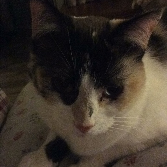 Meet your Posher, Karen - Picture 1 of 1